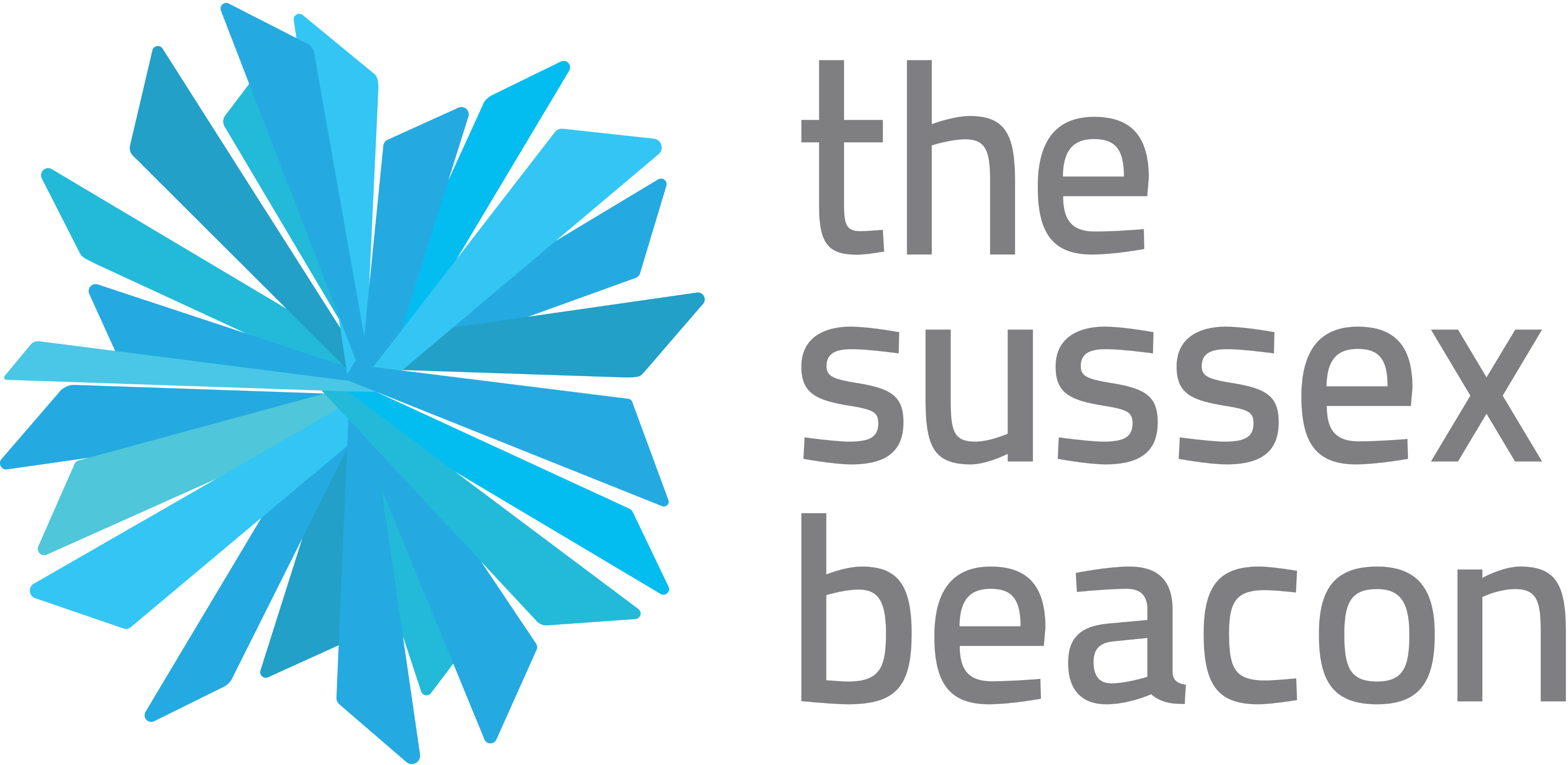 The Sussex Beacon